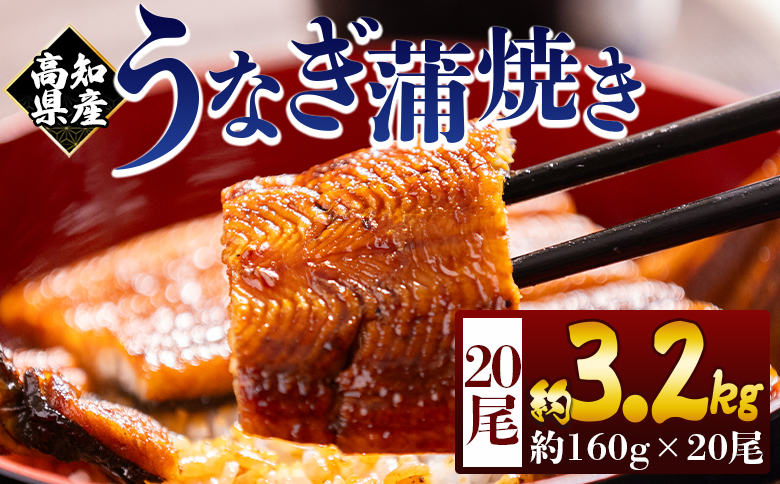 うなぎ 高知県産蒲焼きうなぎ １６０g ２０尾 計３２００ｇ fb-0185