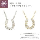 【ふるさと納税】 ネックレス ジュエリー アクセサリー レディース ダイヤモンド 0.1カラット ハート&キューピッド 馬蹄 18金 プラチナ ジュエリーケース付 鑑別書付 保証書付 k131-111