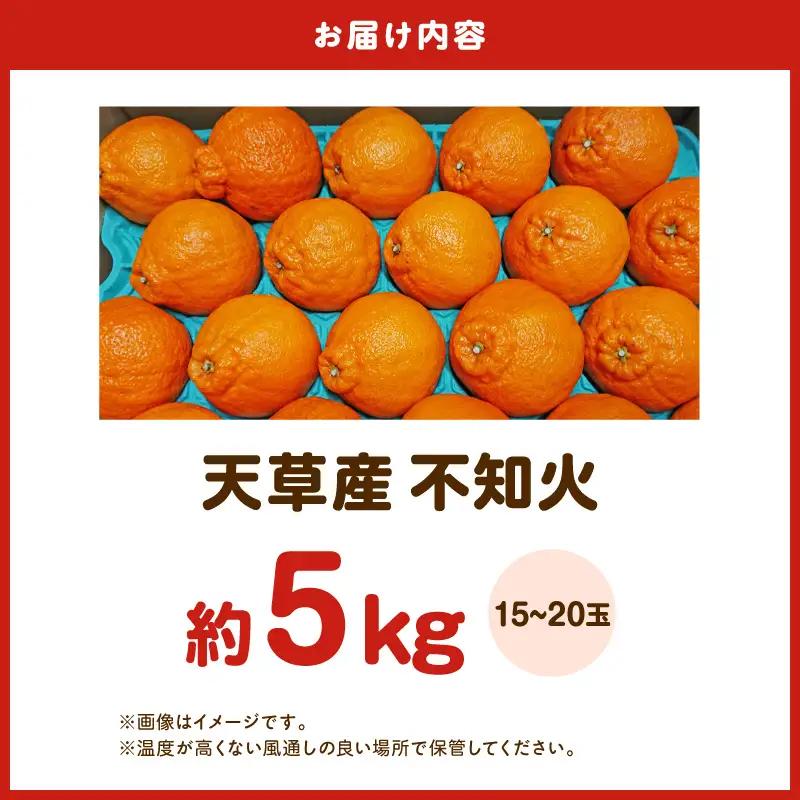 S153-004_天草産 不知火 約5kg