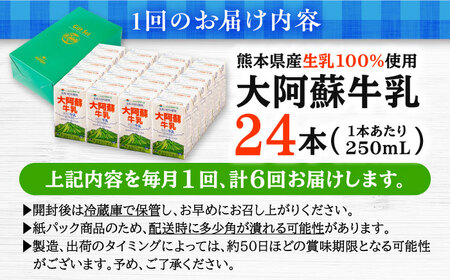 【全6回定期便】 大阿蘇牛乳 250ml （24本入り） 熊本県産 国産 牛乳 [AYCB030]
