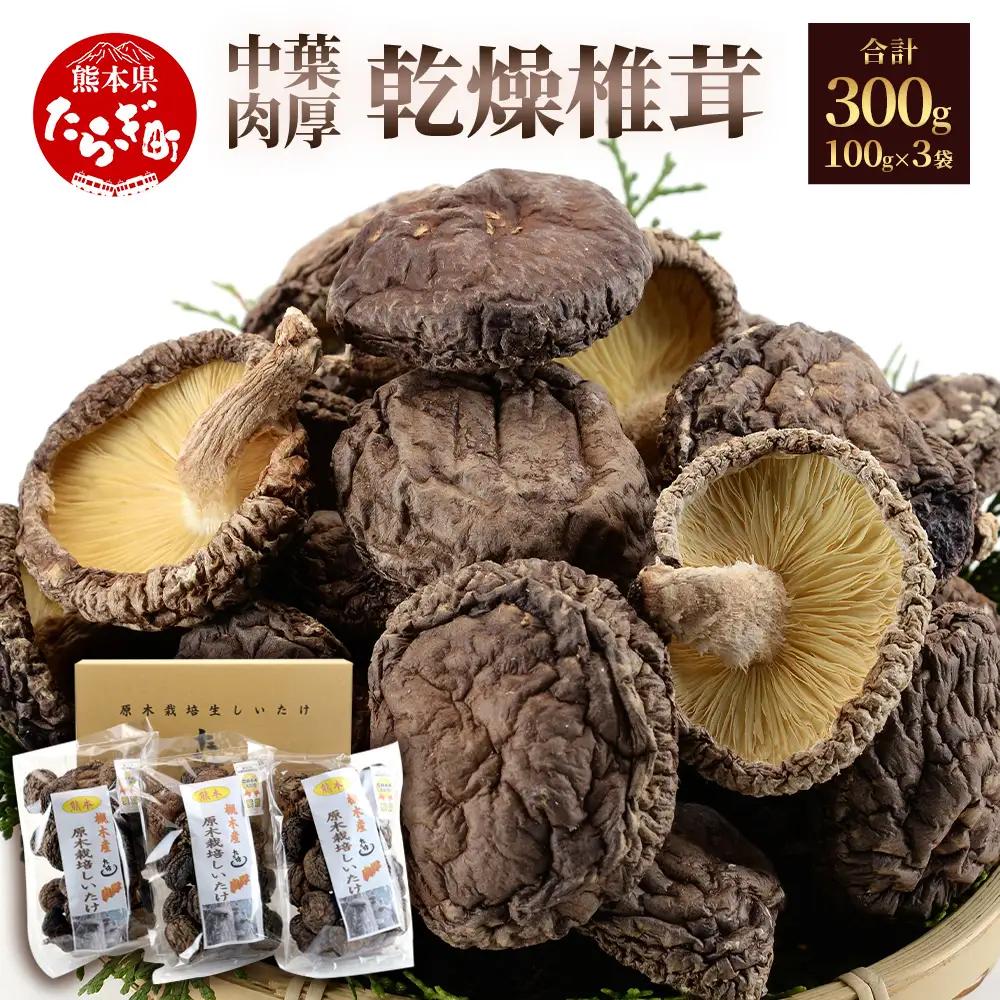 【お中元ギフト】	槻木産 中葉厚肉 乾燥椎茸 計300g (100g×3袋)  026-0573-c