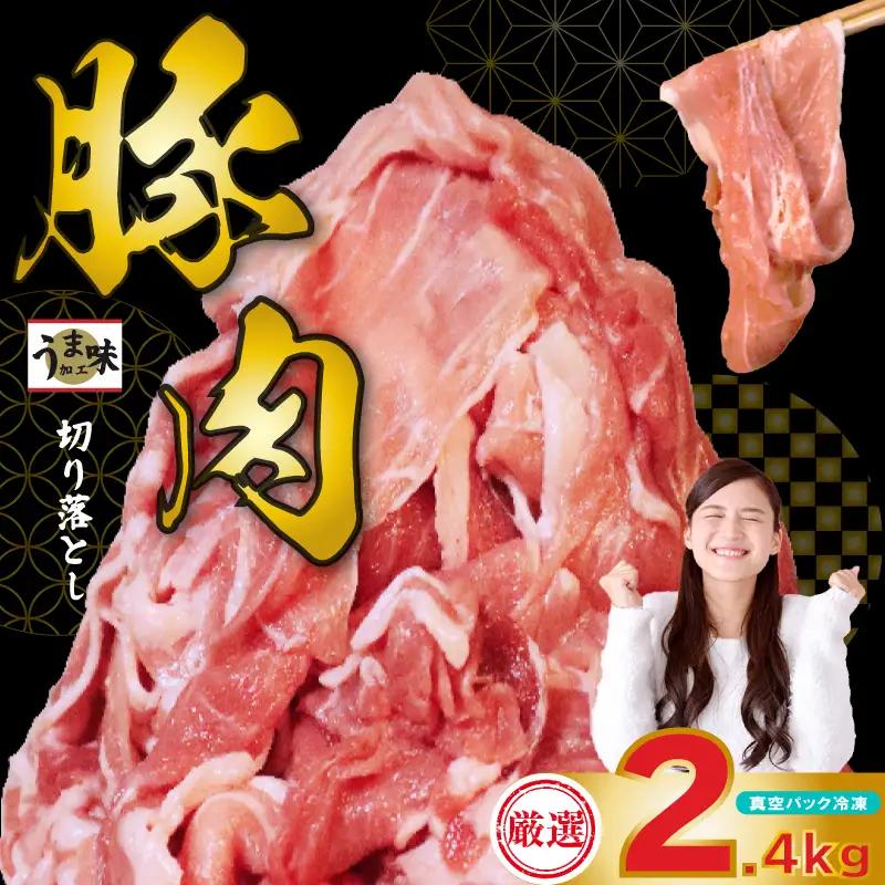 豚肉 切り落とし 2.4kg 国産 豚肉 訳あり KSD