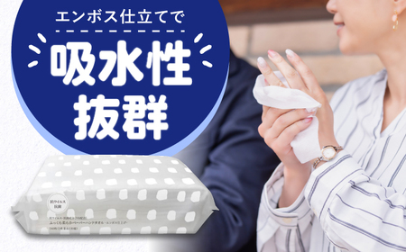 【6回定期便】隔月発送 抗ウイルス 抗菌成分 (VB) 配合ふっくら柔らかペーパーハンドタオル エンボス仕上げ 120組 (240枚) ×30パック 【河野製紙株式会社】[ATAJ017]