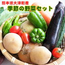 【ふるさと納税】熊本県大津町産 季節の野菜セット(6〜8種類) 野菜 冷蔵 JA菊池 大津中央支所 とれたて市場《60日以内に出荷予定(土日祝除く)》