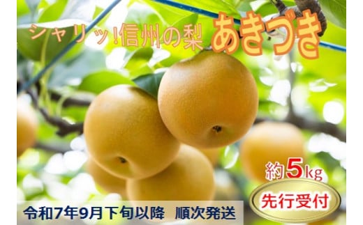 【018-20】令和7年9月下旬ごろ発送　シャリッとしてみずみずしい梨！あきづき　5キロ　信州のジューシーな梨!（なし・梨・ナシ・あきづき）