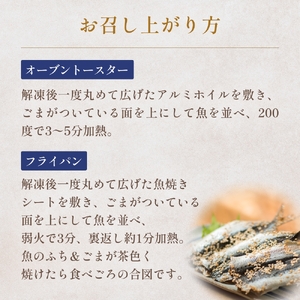 【訳あり】 安心安全！ お手軽調理！ あじ 業務用 みりん干し セット 【氷見みりん干し専門店】 味醂干し 干物 おかず 魚 富山県 氷見市
