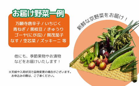 【エーコープ京都中央】おまかせ京野菜セット｜野菜 新鮮 人気 スタッフ厳選 詰め合わせ