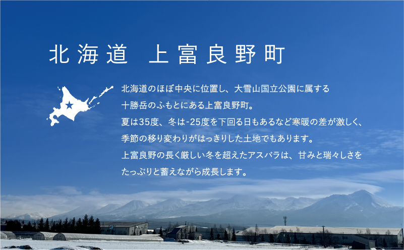 先行予約 【 2026年 発送 ！】 北海道 上富良野産 ホワイトアスパラガス 3L サイズ 400g アスパラ ホワイト アスパラガス 上富良野町 令和7年発送 野菜 やさい 