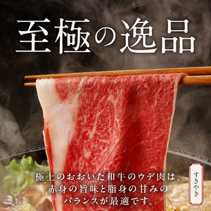 2419R_【贈答用】A4～A5等級おおいた和牛ウデ肉スライス400g（1パック）