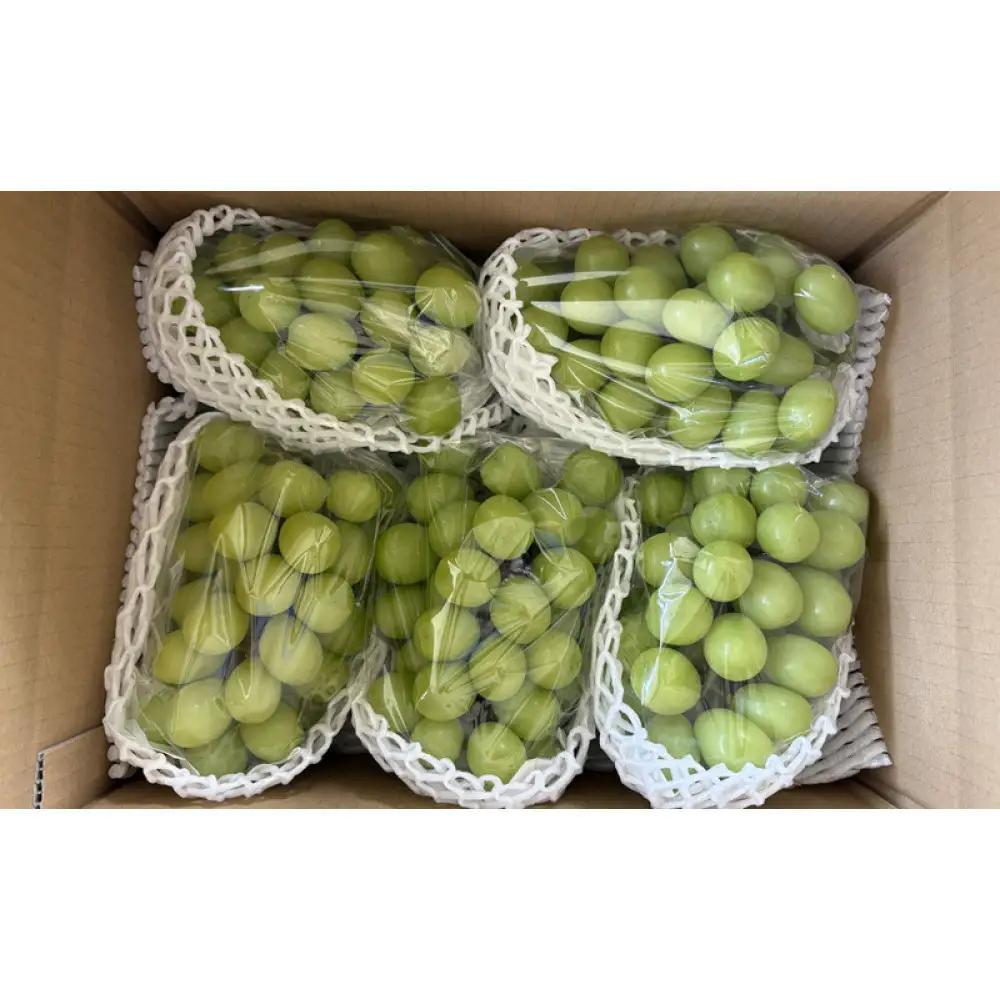 本気農場いけだ 長野市産シャインマスカット5房（約2.8kg）【2026年9月中旬以降の出荷分】（本気農場いけだ） | シャインマスカット ぶどう フルーツ