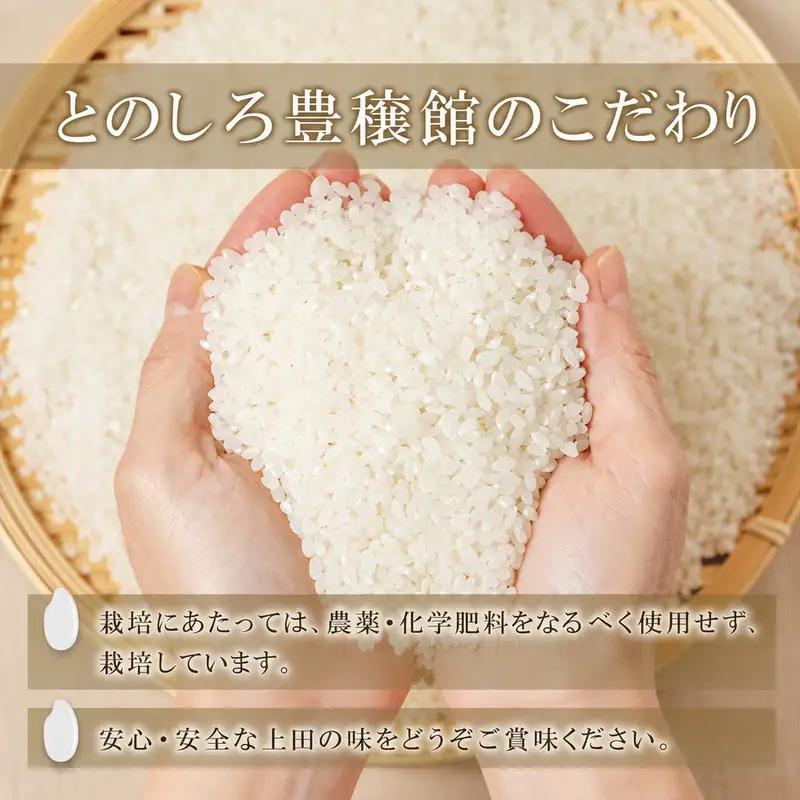 米 令和7年産 長野 風さやか 5kg お米 こめ コメ おこめ 白米 精米 5キロ オリジナル オリジナル米 ブランド米 かぜさやか 信州 長野県 上田市 上田
