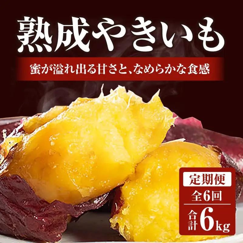 【定期便・全6回】熟成やきいも 熟成 焼き芋 さつまいも 1kg