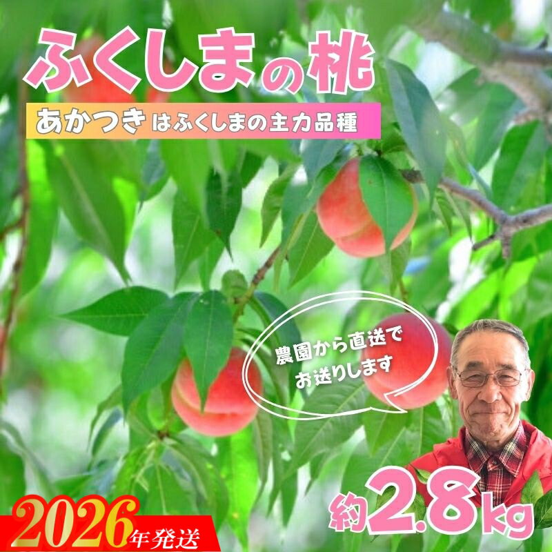 【ふるさと納税】No.2896【限定150箱】ふくしまのもも　あかつき 約2.8kg【2026年発送　先行予約】