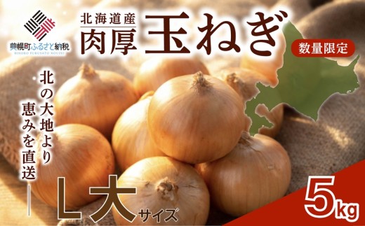 【2026年10月上旬以降発送】 玉ねぎ L大 サイズ 5kg ( 令和8年度産 タマネギ たまねぎ 玉ネギ 玉葱 オニオン スライス サラダ 野菜 スープ 肉じゃが 煮物 ハンバーグ すりおろし 甘い カレー BBQ バーベキュー 新鮮 旬 国産 訳あり 北海道 美幌町 先行予約 送料無料 数量限定 フライ 天ぷら ラーメン 寿司 餃子 ピザ 現地直送 )