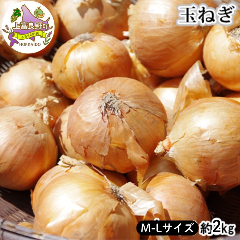 【ふるさと納税】北海道 上富良野 玉ねぎ 約2kg（ M-L サイズ ） 野菜 たまねぎ オニオン 産地直送 新鮮 ふらの　お届け：2025年11月～2026年3月末日まで