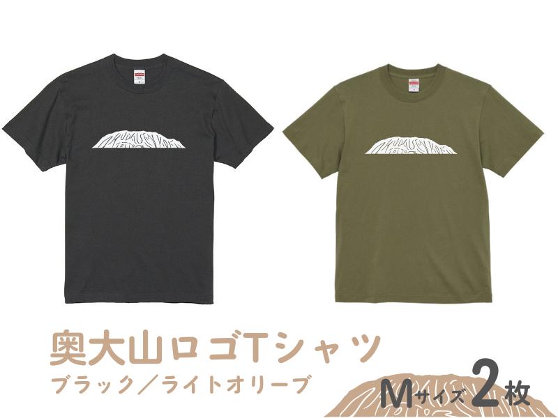 
奥大山大人用Tシャツ2枚(E)ブラック／ライトオリーブ 【Mサイズ】EM-2 1024
