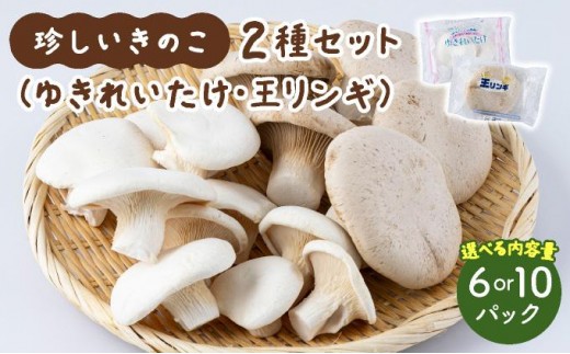 
                  ＜選べる内容量＞珍しいきのこ2種セット(ゆきれいたけ・王リンギ各3～5パック)
                