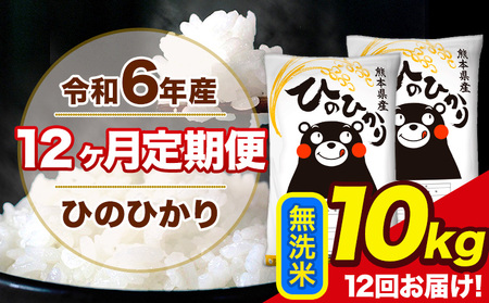 令和6年産  【12ヶ月定期便】 ひのひかり 無洗米 10kg 5kg×2袋 計12回お届け 熊本県産 こめ コメ 無洗米 精米 荒尾市 ひの 米 定期 《お申込み月の翌月から出荷開始》 美味しい米 お米 熊本県産米 くまもと米