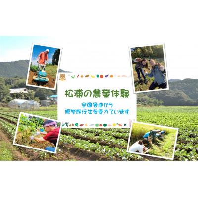 ふるさと納税 松浦市 農漁村体験の聖地「松浦党の里」旬の野菜セット |  | 02