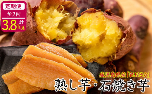 
【定期便全2回】鹿児島県産紅はるかで作った熟し芋と石焼き芋のお楽しみ便＜計3.8kg＞ t003-020
