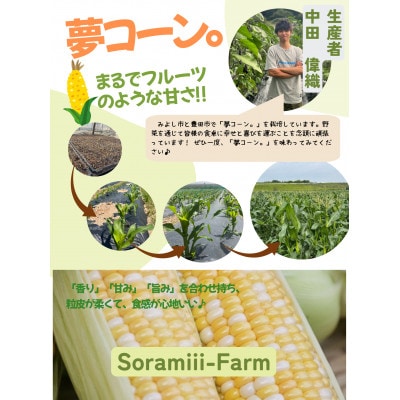【2025年度】愛知県みよし市産 朝採り「夢コーン。」Lサイズ20本セット 数量限定【配送不可地域：離島・沖縄県】