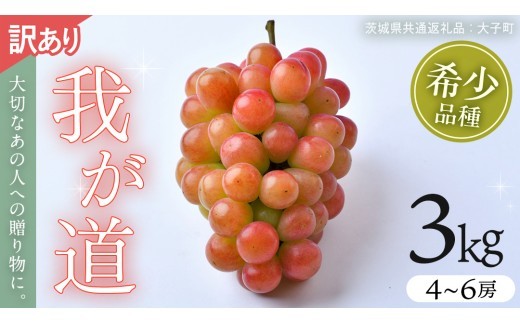 
                  【 訳あり 】 我が道 3kg 【2026年9月発送開始】(茨城県共通返礼品：大子町) シャインマスカット ウインク 葡萄 ブドウ ぶどう 果物 フルーツ 希少 新品種　 わけあり ワケあり ご自宅用 ご家庭用 自分用
                