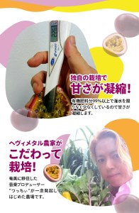 【 2026年 先行予約 】高糖度 パッションフルーツ 約1kg A059-006  国産 奄美大島産 果物 フルーツ 10個前後 最高糖度20度 農家直送 ビタミン カリウム 葉酸 先行受付 事前受