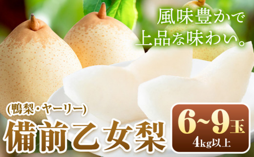 梨 なし 乙女梨 6~9玉 4kg 以上 石原果樹園　フルーツ 果物 新鮮 《11月中旬-12月下旬頃より発送予定》岡山県 浅口市 果物 フルーツ 梨 鴨梨 備前乙女梨 ヤーリー