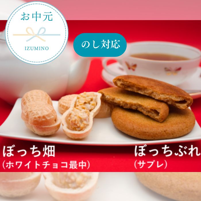 【ふるさと納税】お中元用 IZUMINO ちばちばSET / 落花生 チョコ最中 落花生ソフトサブレ