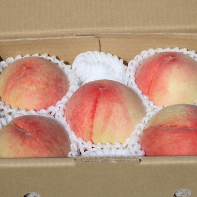 和歌山県産　桃(もも)　5玉～6玉　秀品【配送不可地域：離島・北海道・沖縄県】