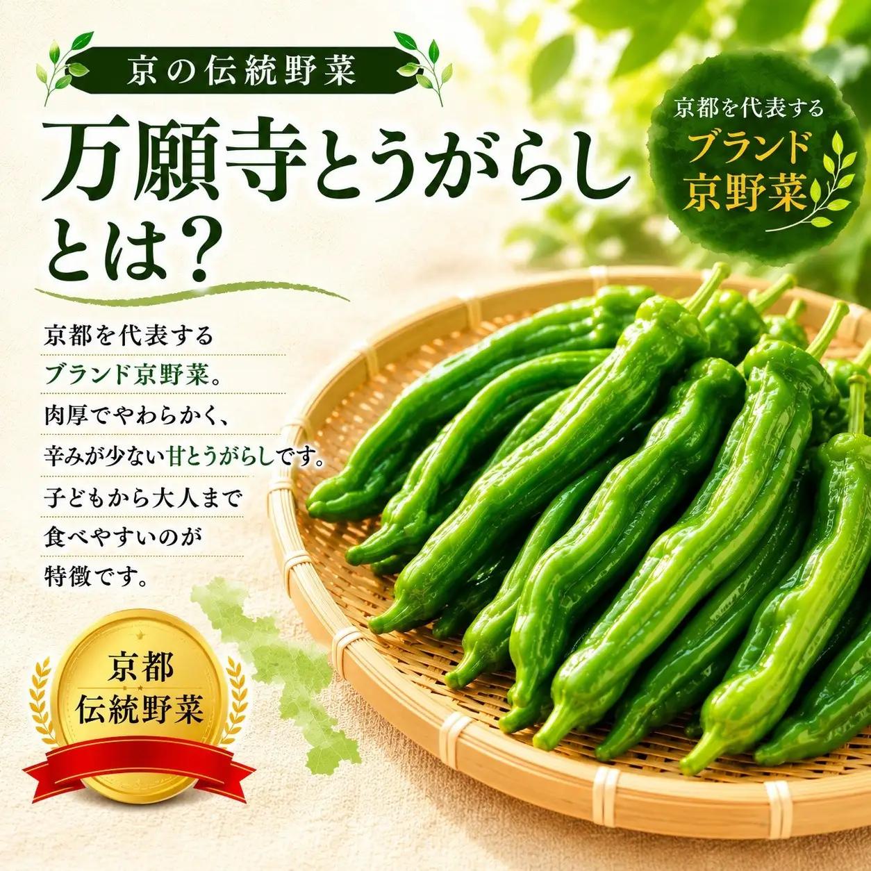 夏の京野菜「3種セット」賀茂茄子・万願寺とうがらし・伏見とうがらし｜やさい　やさい