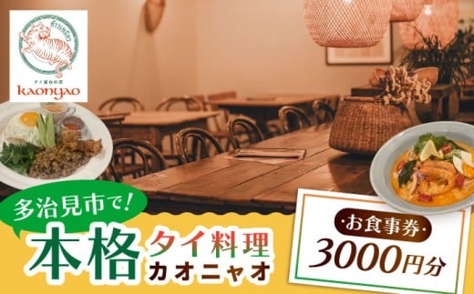 タイ料理Kaonyao お食事券3,000円分 多治見市 / タイ料理 屋台料理 カオニャオ チケット [THH001]