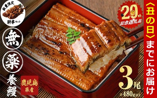 【丑の日までに配送】【無薬養鰻】 鹿児島産 山田のうなぎ ＜計480g以上＞（160g以上×3尾） 肝串セット うなぎ 鰻 ウナギ 無薬 養鰻 無投薬 3尾 国産 九州産 蒲焼き かばやき 冷凍 うな重 ひつまぶし タレ 山椒 a6-062-km-us