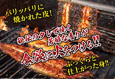 職人手焼き うなぎ蒲焼 3尾 計390g以上 鰻 ウナギ うなぎ 魚 魚介 国産 おかず 食品 加工品 冷蔵 惣菜 蒲焼き 送料無料_EC6-23