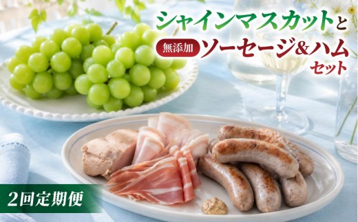 
                  【2回定期便】高評価！シャインマスカットと無添加ソーセージ&ハムセットの定期便（シャインマスカット2房・ソーセージ2種、ハム4種）｜【JA信州うえだ／自家製ソーセージハム男】ぶどう 葡萄 大粒 果物 フルーツ  頒布会 長野
                