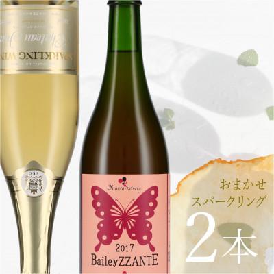 ふるさと納税 甲州市 甲州日和セレクション甲州市スパークリングワイン2本セット(KB-003)