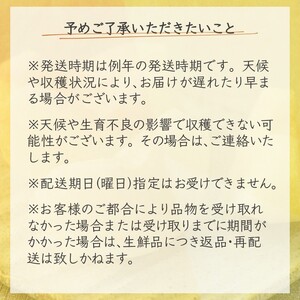 【先行予約】しろいの梨２品種セット 幸水とあきづき 各5kg