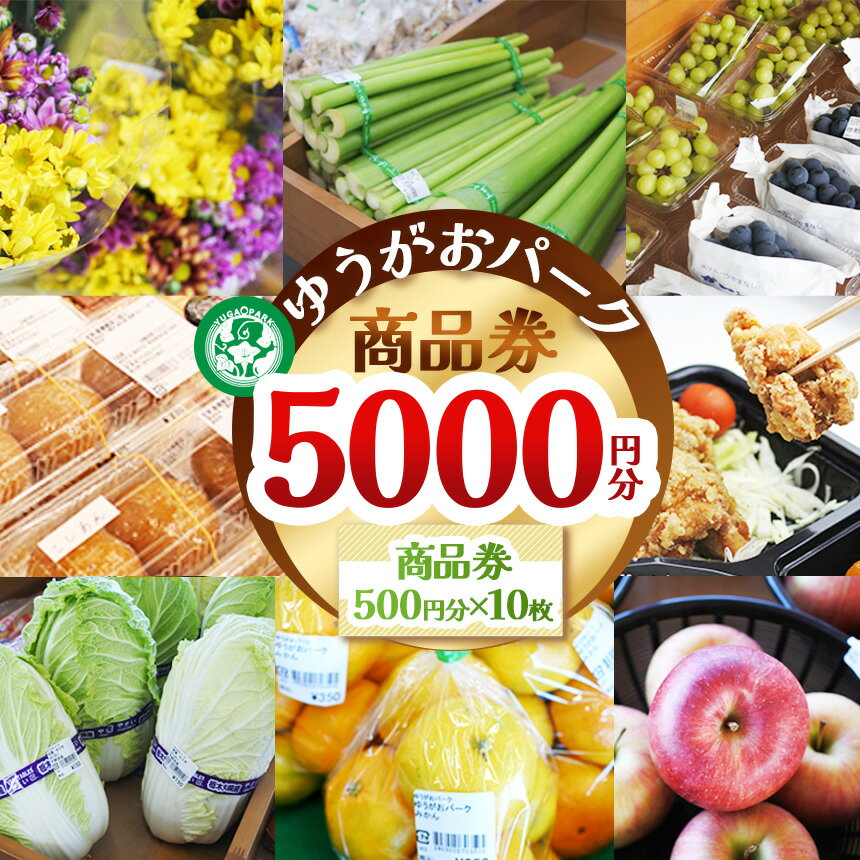 【ふるさと納税】ゆうがおパーク商品券 5000円分 | 商品券 送料無料 栃木県