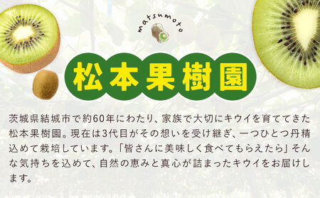 先行予約 キウイフルーツ ヘイワード 約4kg 松本果樹園《2026年12月中旬-2027年1月末頃出荷予定》茨城県結城市