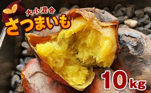 【 先行予約 】 大小混合 さつまいも 10kg | 熊本県 熊本 くまもと 和水町 なごみ いも イモ 芋 サツマイモ 紅はるか あまはづき 蜜いも 10kg 甘藷