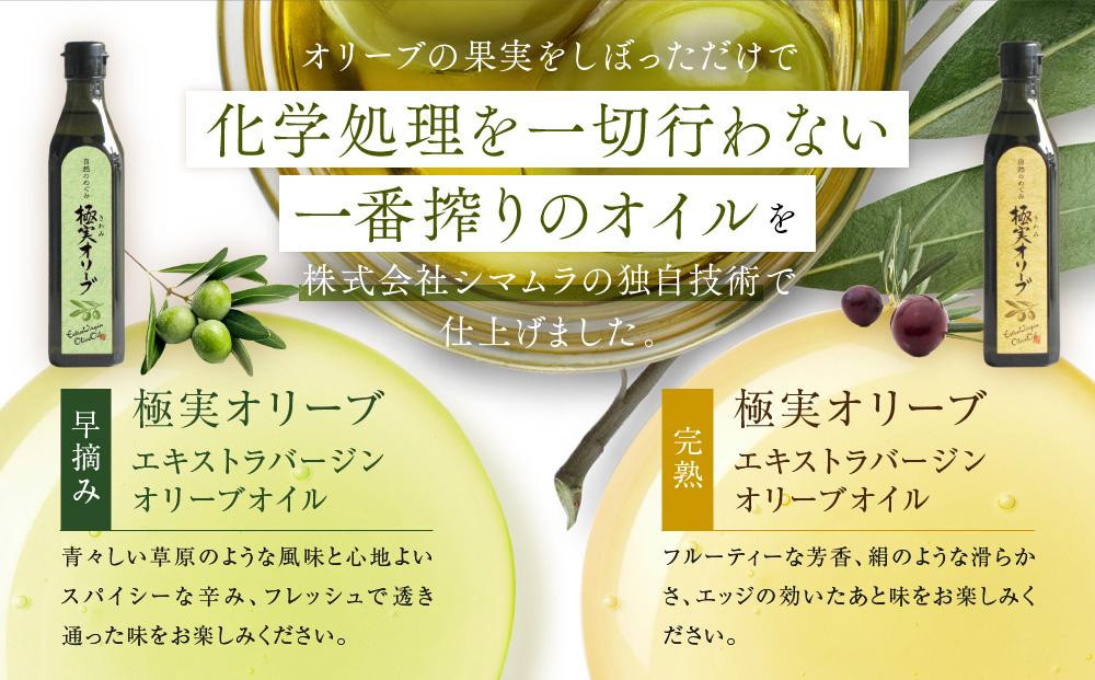 【定期便6ヶ月コース】エキストラバージンオリーブオイル 堪能セット【SM8-2】