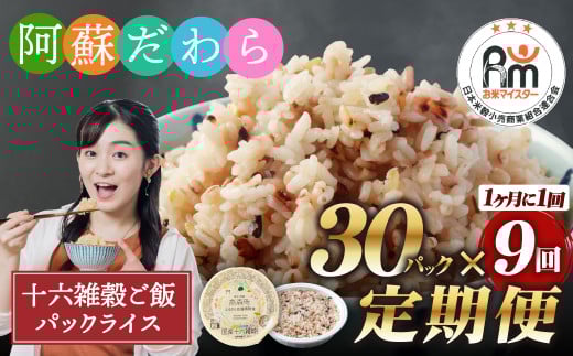 【定期便9ヶ月】阿蘇だわら 十六雑穀ごはん パックライス 160g×30パック 十六雑穀 雑穀 ごはん 米  香り 甘み  国産 定期便