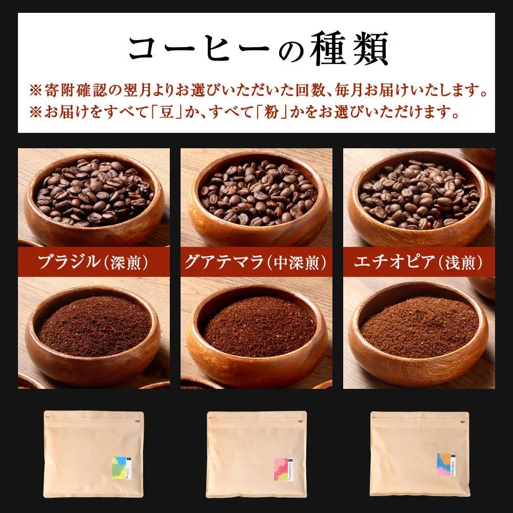 【 3回定期便 】 〈豆と粉で選べる〉スペシャルティコーヒー180g × 1袋 コーヒー 珈琲 COFFEE coffee コーヒー豆 コーヒー粉 豆 粉 自家焙煎 定期 定期配送