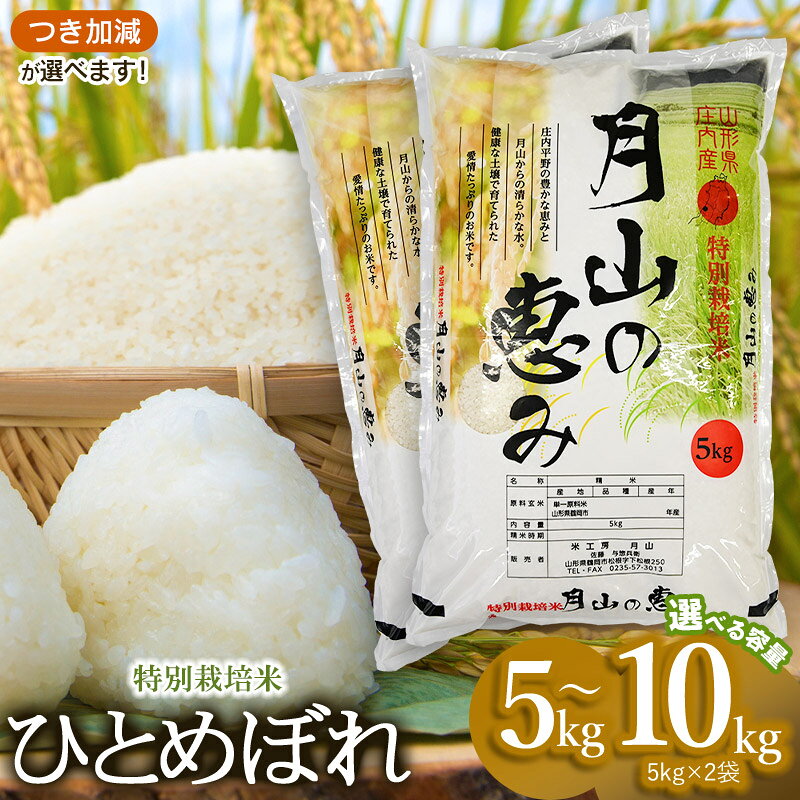 【ふるさと納税】令和8年産 新米 特別栽培米 ひとめぼれ 【選べる容量：5kg(5kg×1袋)／10kg (5kg×2袋)】 2026年産 | 山形県 鶴岡市 返礼品 無洗米 白米 ブランド米 お取り寄せ ご当地 お米 おこめ 特別栽培 コメ 単一米 7分 5分づき 5キロ 10キロ