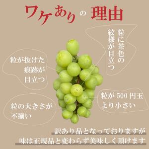【定期便】訳あり 山梨のシャインマスカット 2房1kg以上 全3回【2025年発送】（AGB）C5-875【シャインマスカット 葡萄 ぶどう ブドウ 令和7年発送 期間限定 山梨県産 甲州市 フルーツ