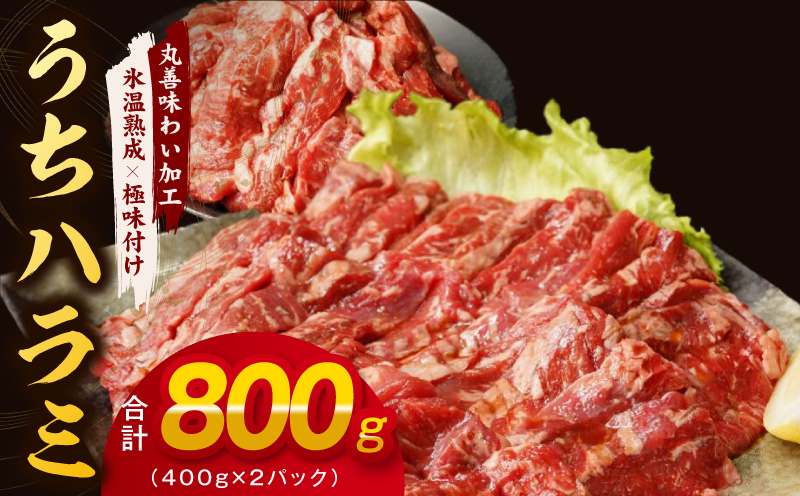 【スピード発送】希少部位 牛肉 うちハラミ 800g（400g×2）【氷温熟成×特製ダレ 大阪 泉佐野 大阪府 泉佐野市】