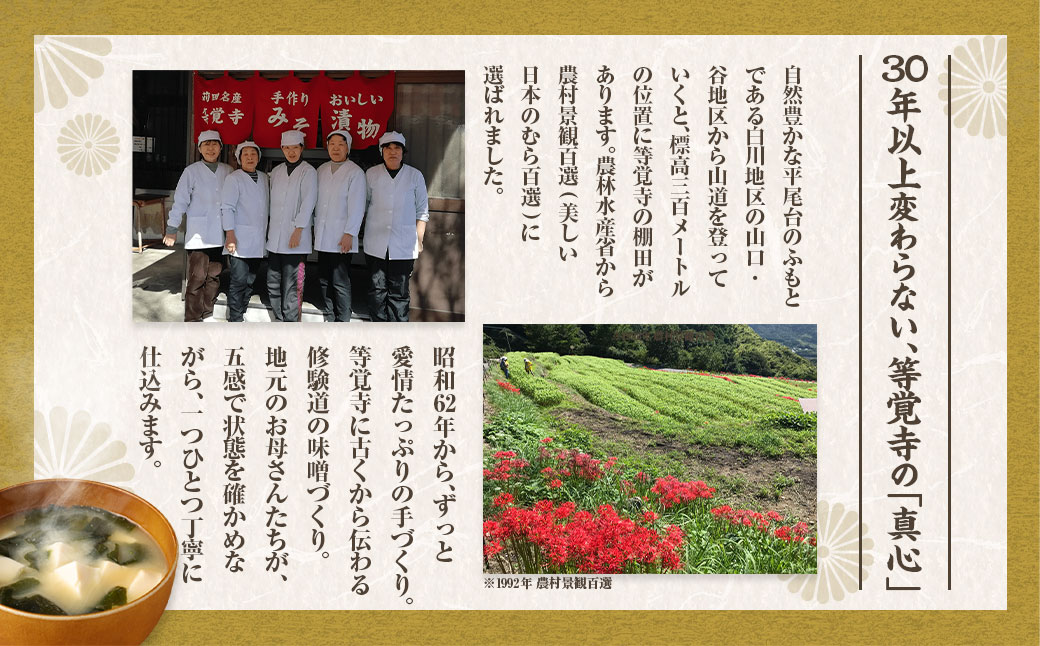 等覚寺の松会みそ 約800g 5個セット
