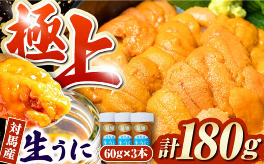 対馬産生うに60g×3本《対馬市》【保家商事】 ウニ うに 冷凍 生ウニ 雲丹 対馬 ムラサキウニ 紫ウニ  紫うに 人気 ランキング 長崎 九州 つしま 対馬市 海鮮 魚介 [WAA009]