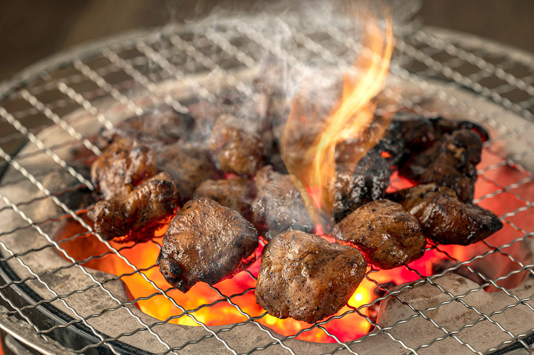 はかた地どり炭火焼セット500g(100g×5パック)