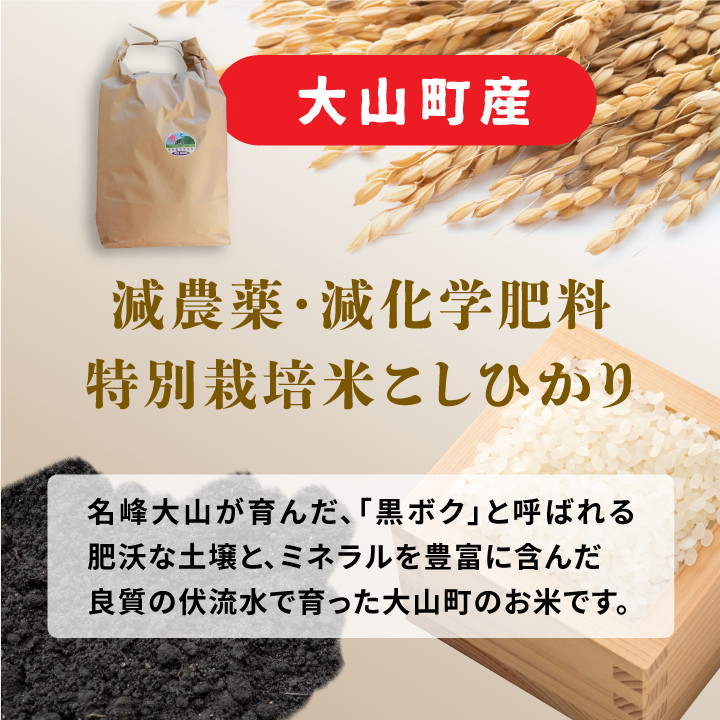 減農薬・減化学肥料　特別栽培米こしひかり　5kg（白米）